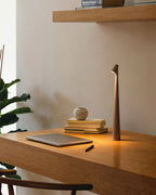 Luminária de Mesa Versa Light Minimalista